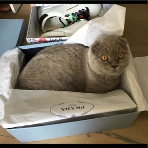 Meet your Posher, Laura